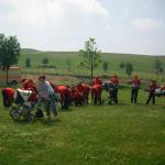 Ronneburg Falkenstein Ro__wein 004.jpg