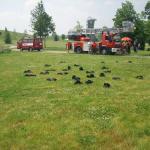 Ronneburg Falkenstein Ro__wein 026.jpg