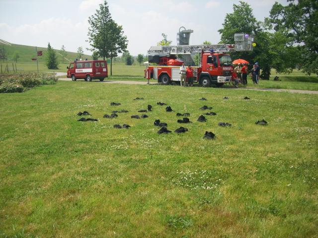 Ronneburg Falkenstein Ro__wein 026.jpg