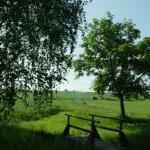 Impressionen