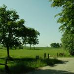 Impressionen
