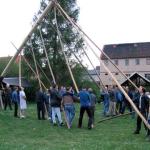 maibaum 02